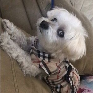 Meet your Posher, Claudio